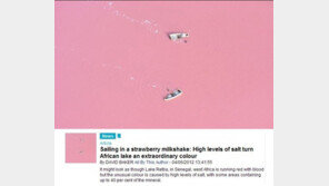 딸기우유 색깔 호수, “색깔은 딸기우유지만 마시면?? 헉!”