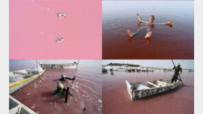 딸기우유 색깔 호수, 다른 사진들도 함께 화제 “가보고 싶다”