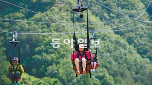 [강원]여름, 정선에서 하늘을 달리다