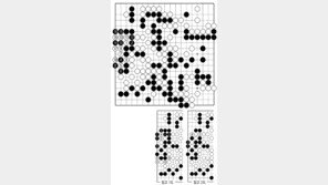 [바둑]제56기 국수전… 결정적인 승착 1 