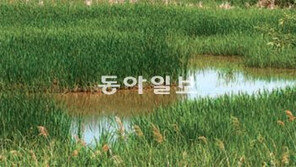 [TV 프로그램]김포 자연습지 사라질 위기