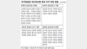 “현역 의원을 잡아라”… 민주 대선주자들 세몰이 경쟁