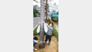 [수도권]104년만의 최악 가뭄… 목타는 서울