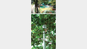 [공원이 위험하다]<중> 왜 우범지대로 변했나