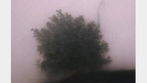 ‘행복한 예술 전투기 조종사’ 천국서 날아봐요… 큐레이터 이원일 씨 1주기 추모전