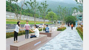 [대구/경북]서울에 가로수길 있다면 대구엔 맛둘레길이…