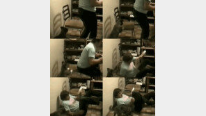 숙련된 개매너, “주인에게 당한 게 많았나?”