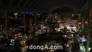 놀이기구 베스트 5, “어떤 놀이기구가 이름 올렸나 보니…”