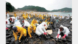 태안 기름띠 닦던 ‘123만명의 헌신’ 세계가 인정