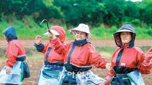 [광주/전남]살짝 내린 비에도 어깨춤 절로