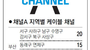[부산/경남]채널A 지역별 케이블 채널