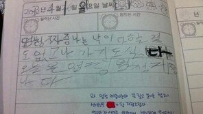 일기 쓰기 싫었던 초등학생 짜증 폭발 ‘담임 선생님은 훈훈’
