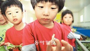 [대구/경북]“이거 먹는 거 아닌가”