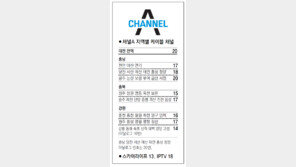 [강원][대전/충남][충북]채널A 지역별 케이블 채널