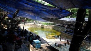 104년 만의 최악 가뭄, “장마가 기다려지기는 처음”