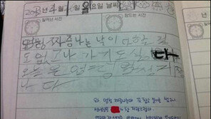 일기 쓰기 싫었던 초등학생 “차라리 쓰지 마라” 선생님 답변에 폭소