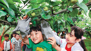 [부산/경남]“배 아프면 안돼요”