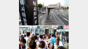 “택시도 준공영제를” 전국서 22만대 참여