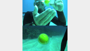 [영상] 바닷속에서 계란 깨면… “눈을 뗄 수 없을 정도로 신기!”