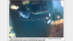 아이 유령 포착, “어머! 깜짝이야 하고 놀랄줄 알았니?”