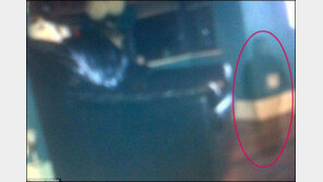 아이 유령 포착 사진 진짜야? “고양이 찍으려다…소름이 쫙!” 