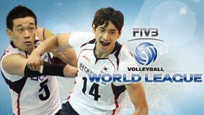 남자배구 월드리그, 안방에서 본다