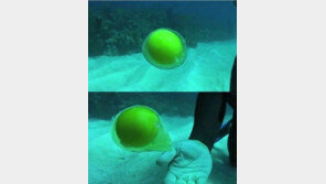 [동영상]바닷속에서 계란 깨면? “진짜 마술같은 일이…”