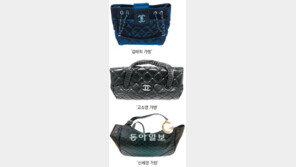 당신이 들고 있는 ‘김태희 가방’도 짝퉁?