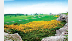 [그린에서]인천 스카이72골프클럽 外