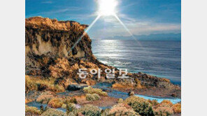 1500만년전 남극 여름, 영상 7도에 꽃도 만발