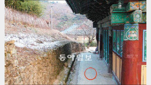 금괴 40kg 진짜 묻혔나… 동화사 뒤뜰 파본다