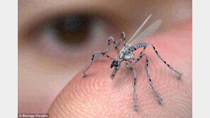 엄지손가락만한 사이보그 파리, 살상용으로?… “끔찍!”