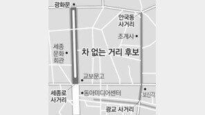 서울 세종로-종로 중 1곳 2013년 ‘주말 車없는 거리’로