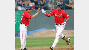 정권 두방…호랑이 녹다운