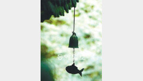 [실용기타]탑… 대웅전… 사찰 구조는 왜 비슷할까