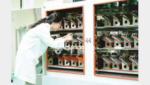 [에너지 강국]SK이노베이션 “모든 차가 친환경 배터리로 달릴 때까지 도전은 계속된다”