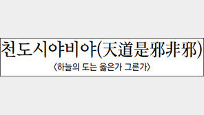 [김원중의 한자로 읽는 고전]<61>천도시야비야(天道是邪非邪)