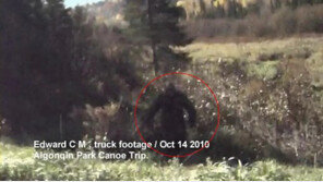 [영상] 카메라에 찍힌 괴생명체 ‘빅풋’ 캐나다에서 포착