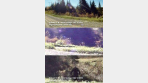 [영상] 카메라에 찍힌 괴생명체, “2시간짜리 영상은 공개 안 되나?”