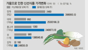 양파-레인부츠 울고… 수박 빙과 웃고… 유통업계 ‘가뭄 희비’