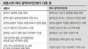 광역시가 기초단체 기능까지… 세종시 ‘단층 행정’ 첫 실험