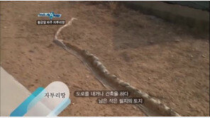 자투리땅 주차장 조성, “땅 없는 사람들은 집 앞에서도 돈 내고 주차?”