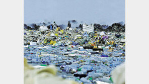 몰디브 쓰레기 섬, 지상 낙원이 온통 악취로 ‘경악’