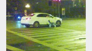 중국판 ‘악마 승용차’ 사건에 분노!… 벌금이 고작 9000원?