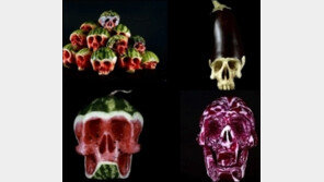 오싹한 과일들 화제 “무서워서 못 먹겠다”