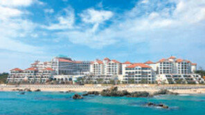 [분양 정보]패밀리-스위트형 콘도 특별분양 外