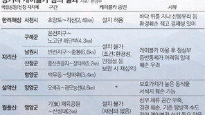 한려해상공원 2.49km 바다케이블카 생긴다