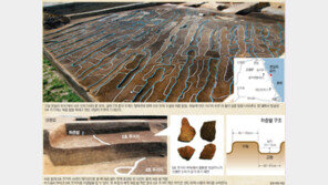 한반도 신석기시대 밭 발견… 농경史 1500년 앞당겨졌다