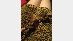 쌈디, 여친 레이디제인 생일 맞아 ‘황금 장미’ 선물