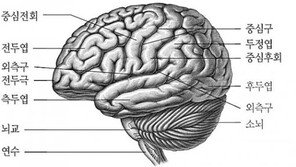 뇌 잠결에 복습, “잘 때 영어 회화 틀어놓고 자면?”